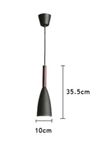 Load image into Gallery viewer, PENDANT LAMP 162