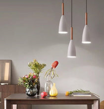 Load image into Gallery viewer, PENDANT LAMP 162