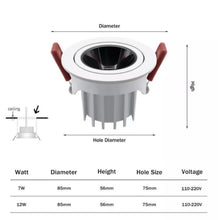 Load image into Gallery viewer, SPETRO 13
