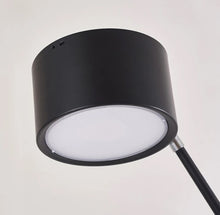 Load image into Gallery viewer, FLOOR LAMP 50
