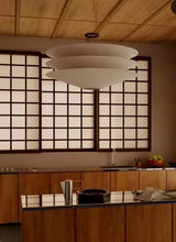 Load image into Gallery viewer, PENDANT LAMP 533
