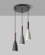 Load image into Gallery viewer, PENDANT LAMP 162
