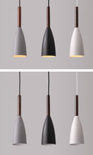 Load image into Gallery viewer, PENDANT LAMP 162
