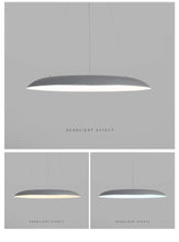 Load image into Gallery viewer, PENDANT LAMP 182
