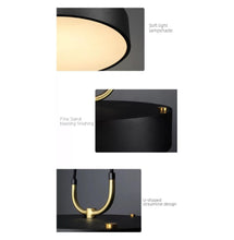 Load image into Gallery viewer, PENDANT LAMP 258
