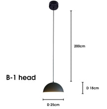 Load image into Gallery viewer, PENDANT LAMP 259
