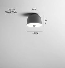 Load image into Gallery viewer, PENDANT LAMP 275
