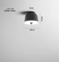 Load image into Gallery viewer, PENDANT LAMP 275
