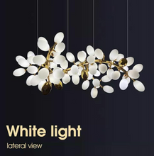 Load image into Gallery viewer, CHANDELIER 250
