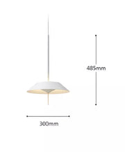 Load image into Gallery viewer, PENDANT LAMP 7
